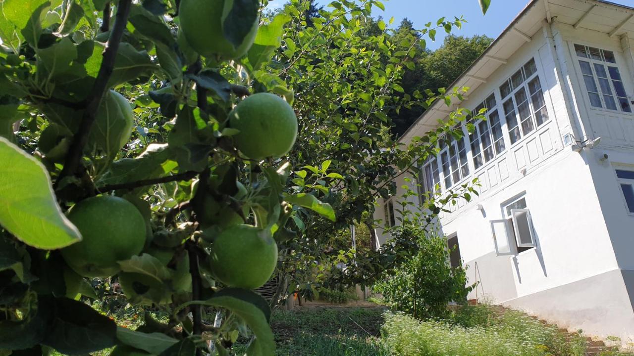 Guest House Okropilauri Shuakhevi Εξωτερικό φωτογραφία