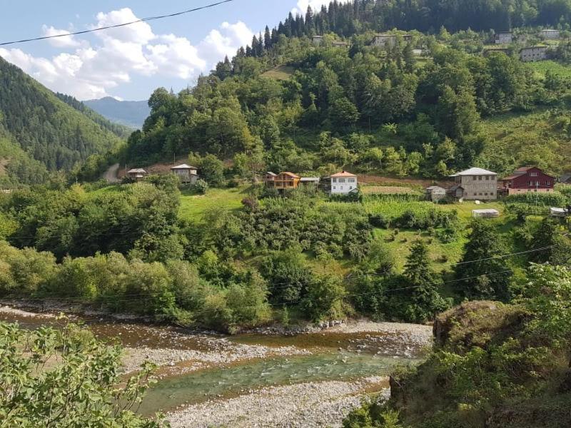 Guest House Okropilauri Shuakhevi Εξωτερικό φωτογραφία