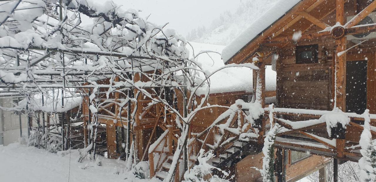 Guest House Okropilauri Shuakhevi Εξωτερικό φωτογραφία