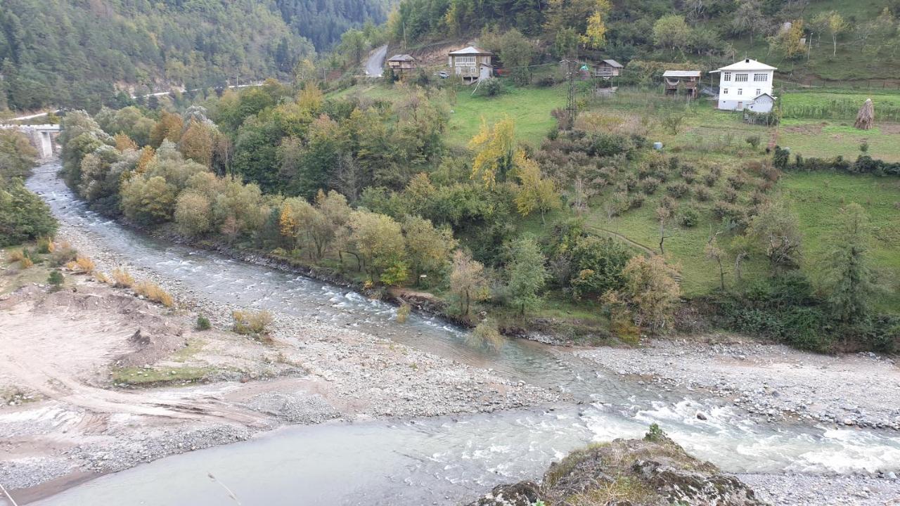 Guest House Okropilauri Shuakhevi Εξωτερικό φωτογραφία